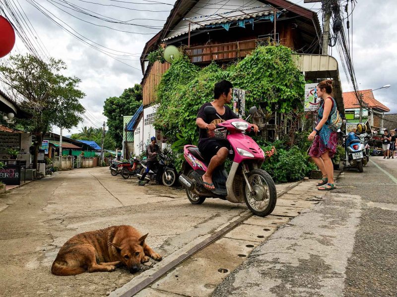 Motorbikes in Pai -dog